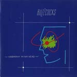 Buzzcocks - Harmony In My Head 